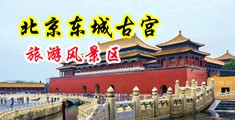 日逼视频免费黄色中国北京-东城古宫旅游风景区